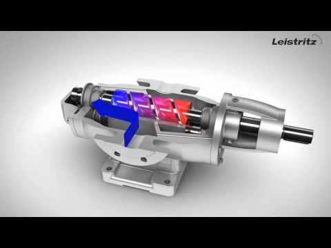 L2NG Animation - Twin Screw Pump